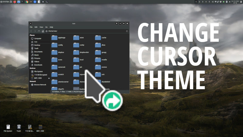 How to change mouse cursor theme on MX Linux